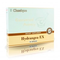 Hydrangea EX — Хайдрэнджи Экс - Гортензия.
