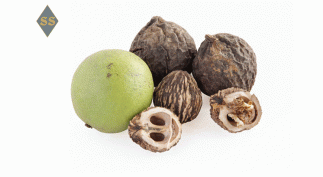 Черный орех — купить — Black walnut