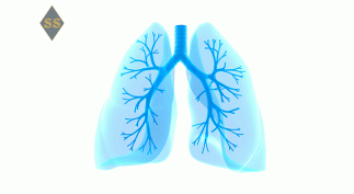 Пневмония ― симптомы и лечение