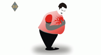 Как лишний вес влияет на здоровье сердца