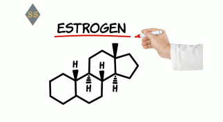 Как нормализовать уровень эстрогенов