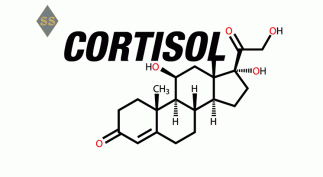Как нормализовать уровень кортизола