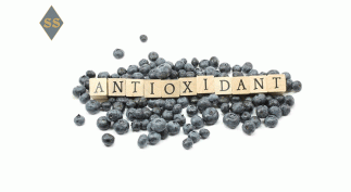 Натуральные антиоксиданты или как продлить жизнь и молодость
