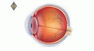 Как улучшить зрение при глаукоме