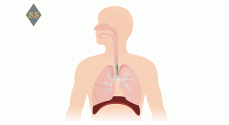 Лечение воспаления верхних дыхательных путей у взрослых 
